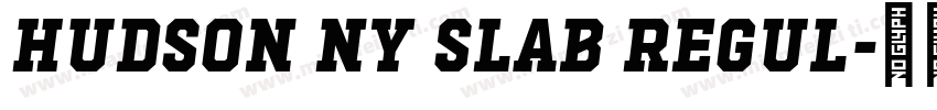 Hudson NY Slab Regul字体转换